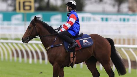 Fireburn, Sejardan, Paulele among barrier trial stars in heavy fog.
